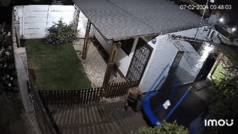 Grabados. El momento en que los delincuentes sacaron la cama elastica.&nbsp;