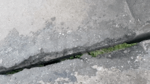 Una nueva grieta en el Puente Carretero Santa Fe - Santo Tomé apareció en la vereda norte