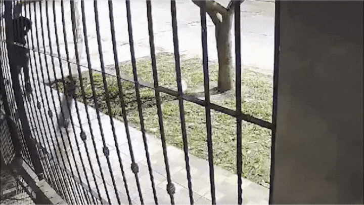 Ola de robos Santa Fe: un hombre salteó un portón
