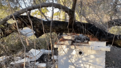 Un árbol cayó en la Costanera y destruyó la ermita de la Virgen del Rosario