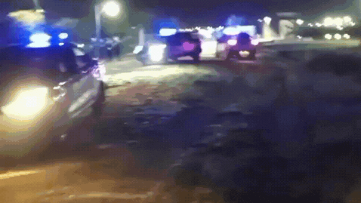 Se desplegó un fuerte operativo en la zona de countries para dar con el puma suelto.