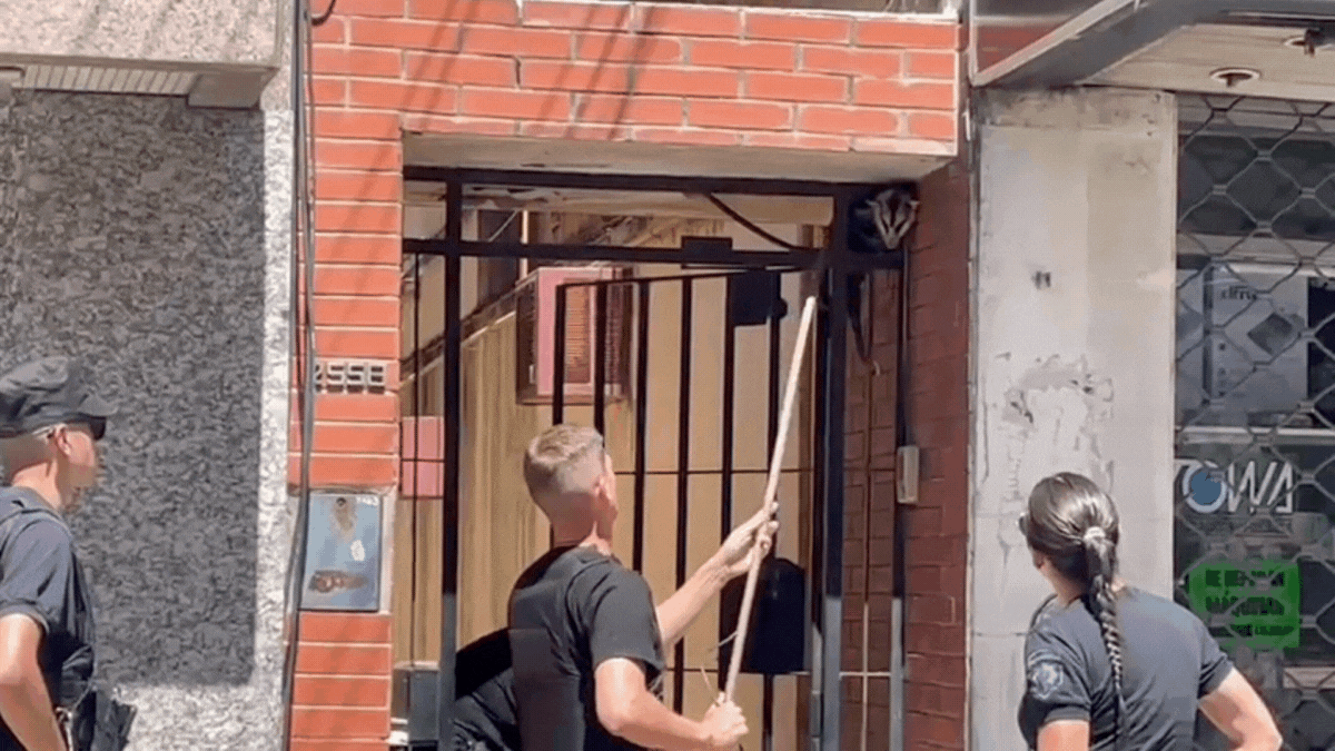Apareció una comadreja en pleno microcentro de Santa Fe: la retiró la Brigada Ecológica