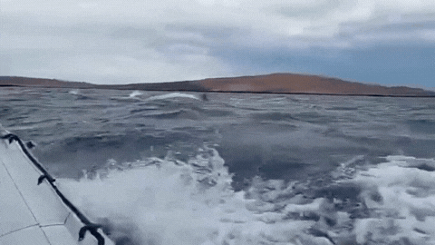 El Parque Provincial Patagonia Azul