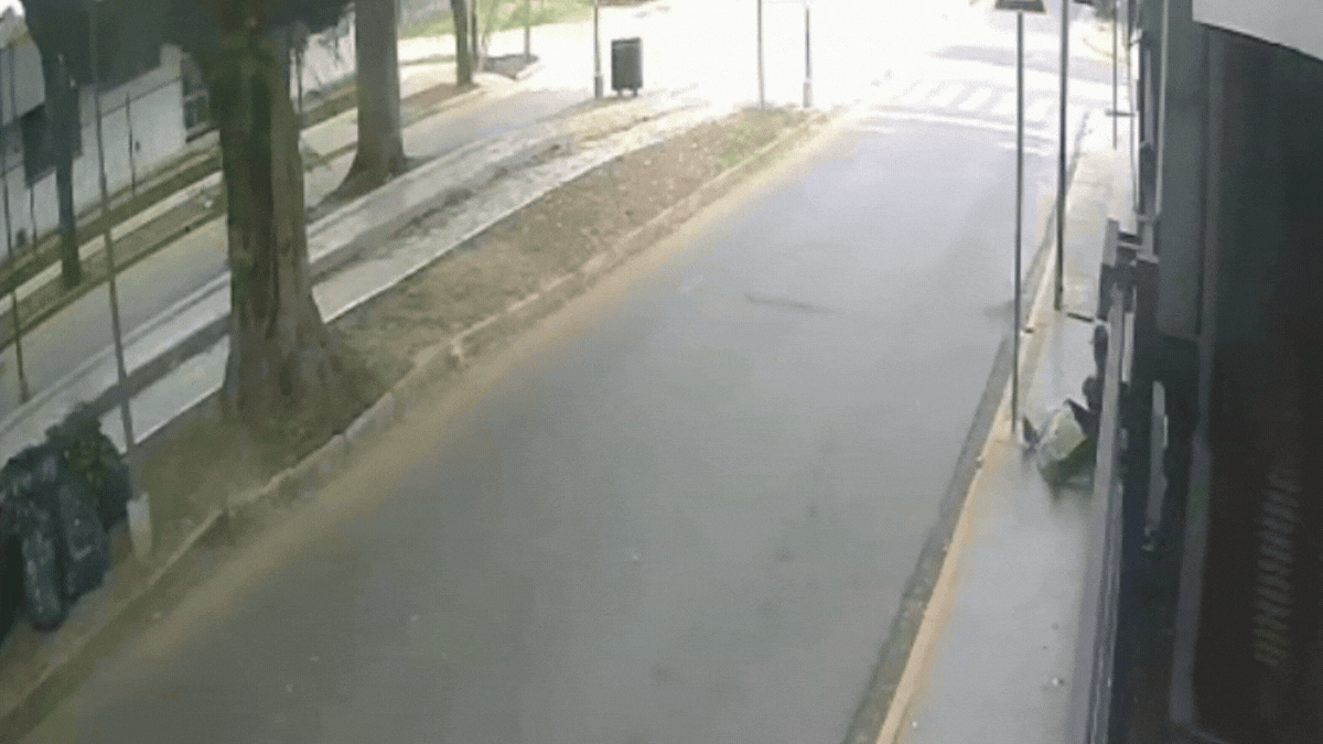 El video que muestra cómo se roban los medidores de gas a plena luz del día en barrio Sur