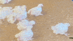 El suceso en Recreo ocurrió el lunes, en horas de la mañana.