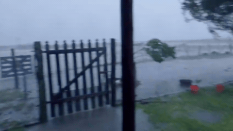 altText(Lluvias en Santa Fe: el norte superó los 200 milímetros y La Capital acumula más de 36 milímetros)}