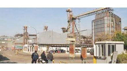 Resultado de imagen para Oleaginosa Moreno