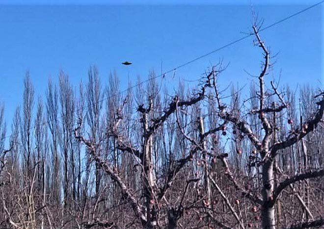 Un ovni causó pánico en una chacra de Río Negro