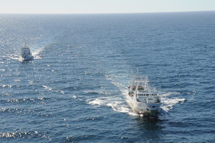 La Dirección Nacional de Coordinación Pesquera se encargará de iniciar un sumario