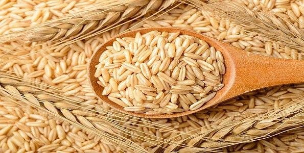 arroz estrés