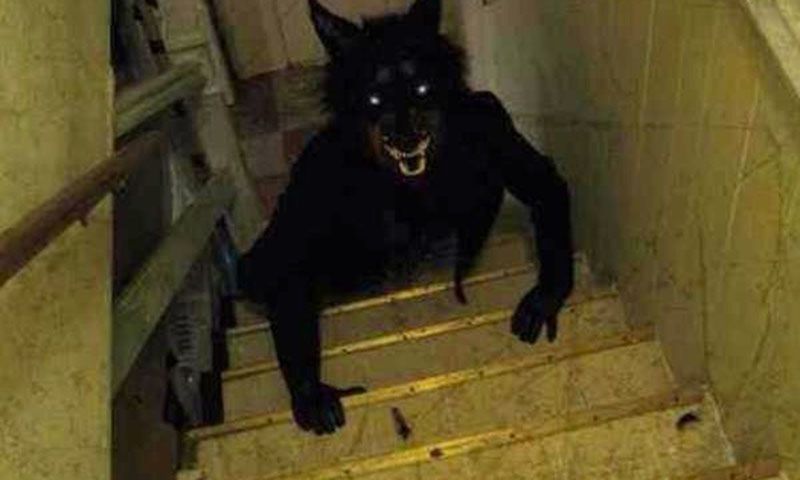 ¿"El lobizón" en Santa Fe?: las leyendas urbanas más perturbadores