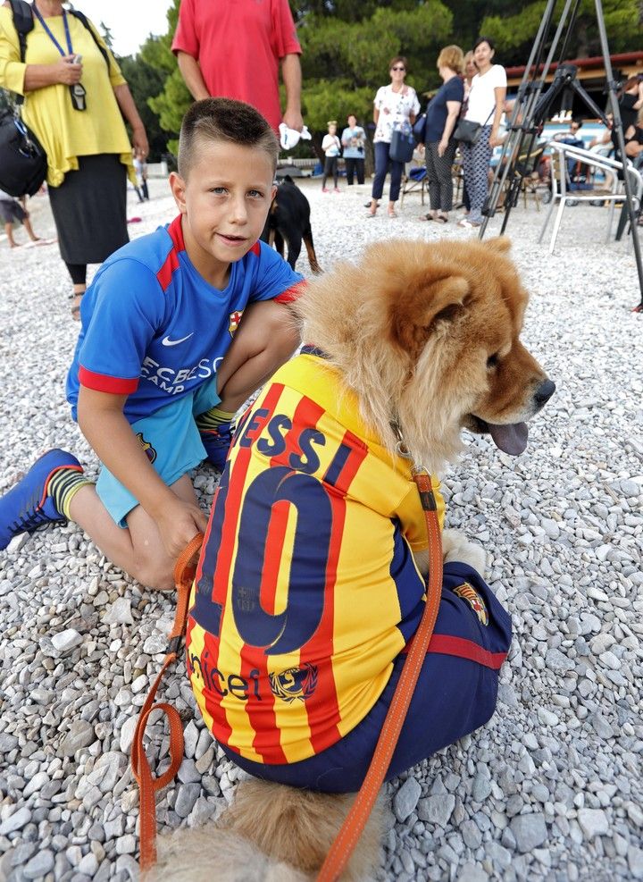 perros