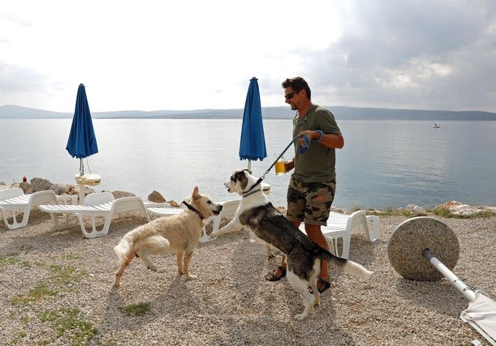perros