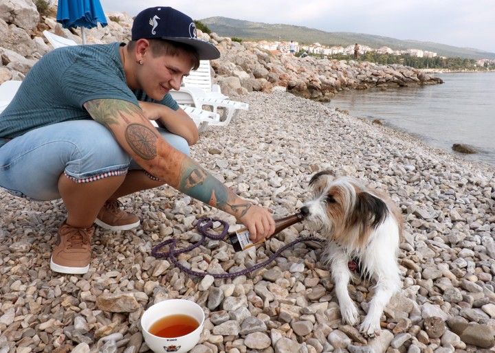 perros