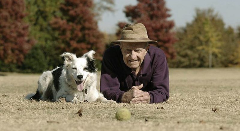perro abuelo