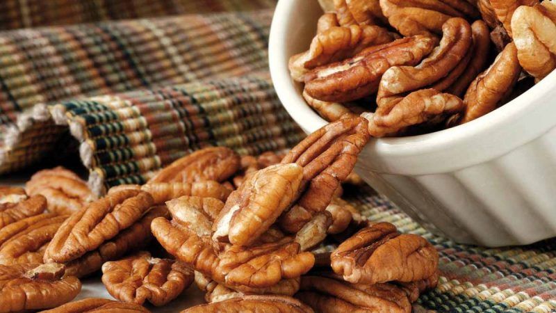 piel y nueces