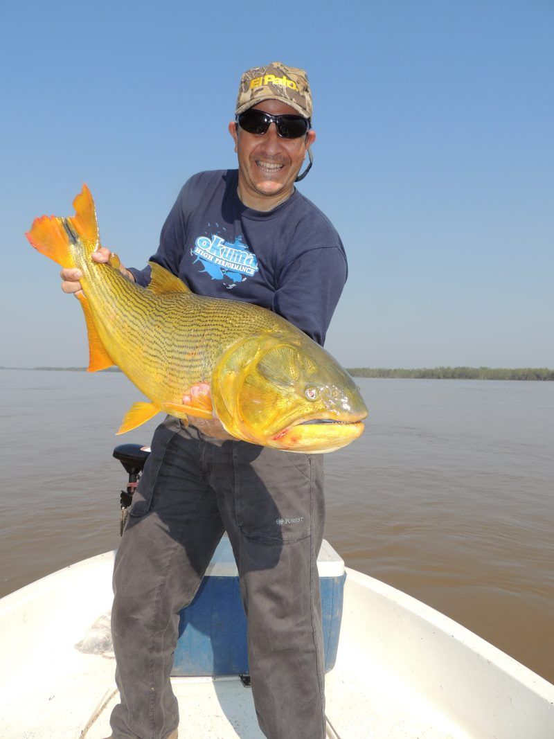 Pesca del dorado en Reconquista