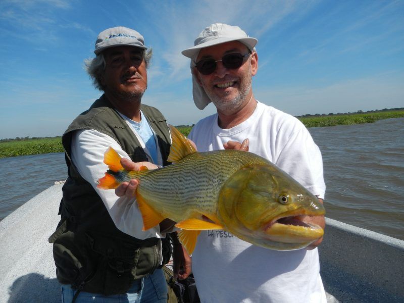 Dorado en Cayastá