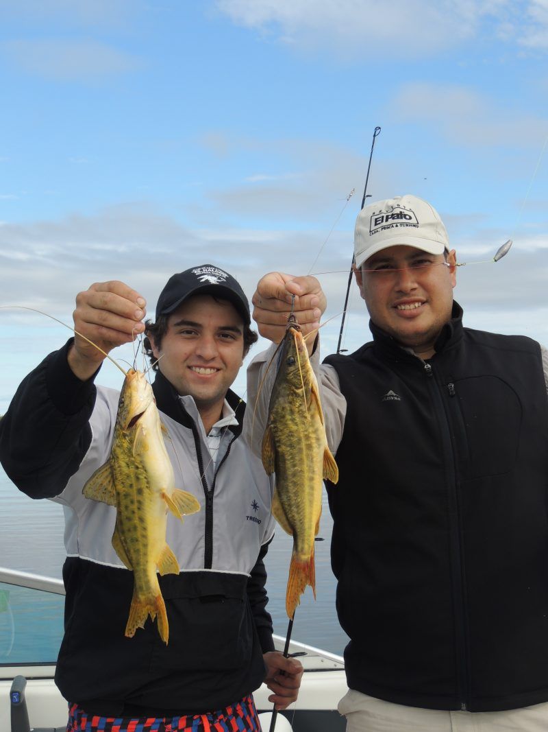 Amarillo en Helvecia