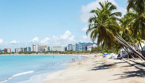 brasil fiebre amarilla