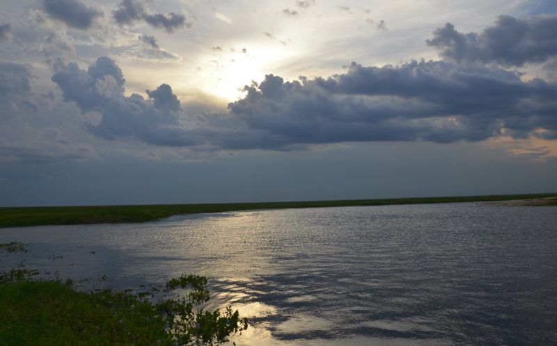 Esteros del Iberá