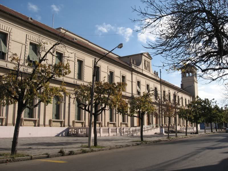 docentes universitarios