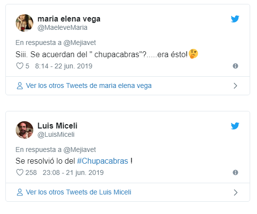 Grabaron a un pequeño animal atacando a un ternero vivo