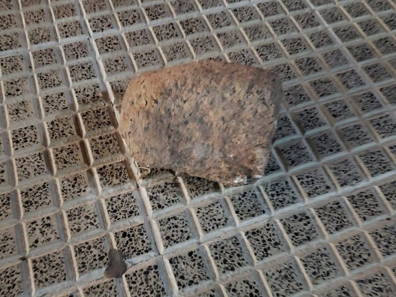 La piedra que usó el ladrón pertenecía al cantero de un vecino