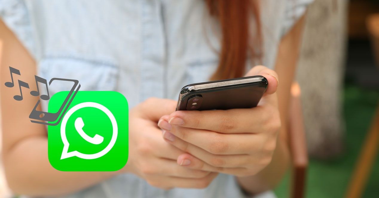 WhatsApp: cómo asignar tonos personalizados a contactos y grupos