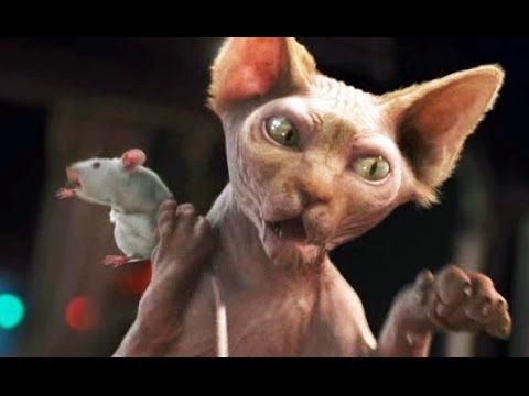 Las series y películas que se estrenan en Netflix la semana del 15 al 21 de julio