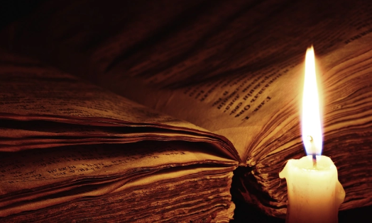 "La Bella y la Bestia" está inspirada en un caso de la vida real y no tuvo el mismo final feliz