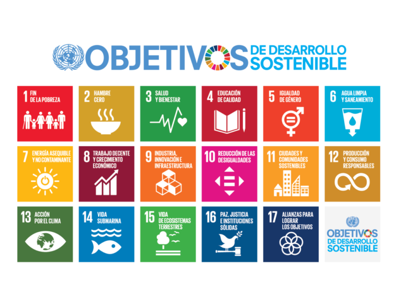 Los objetivos de desarrollo sostenible