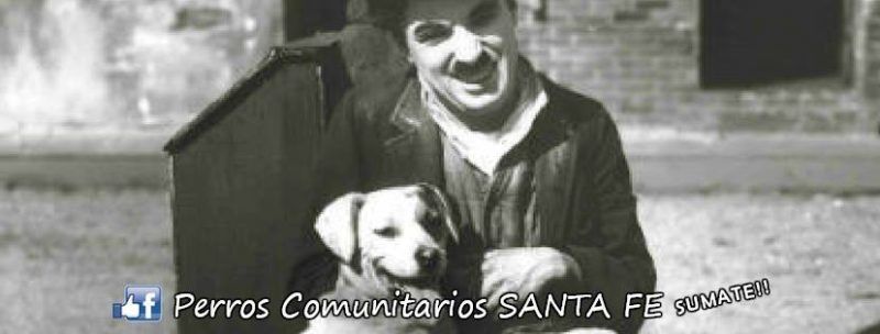 Perros comunitarios