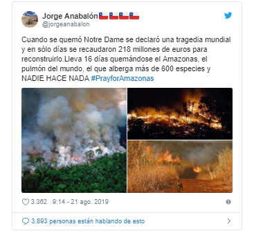 ¿Qué está pasando con los incendios en el Amazonas y por qué son tan graves?