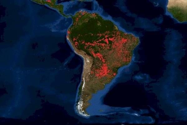 Las Fuerzas Armadas empezaron a trabajar para combatir el fuego en la Amazonia