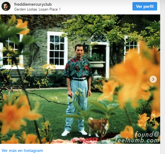 Filtraron fotos inéditas de Freddie Mercury poco antes de morir