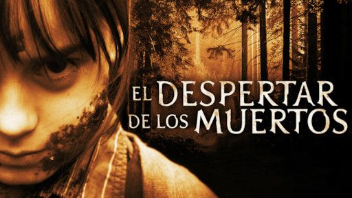 Las series y películas que se estrenan en Netflix Argentina del 6 al 12