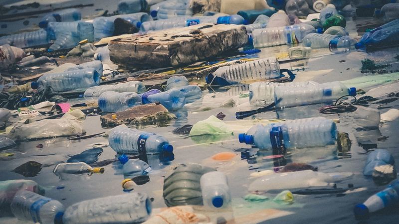 plastico enemigo invisible gritos de la tierra