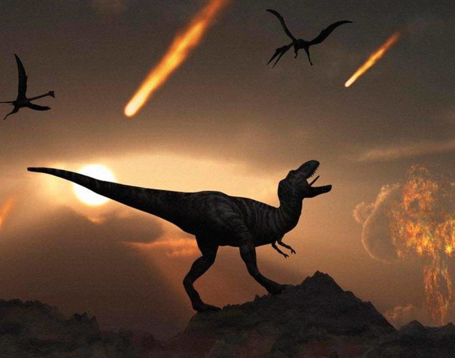 Cuando el asteroide se estrelló contra el planeta, el impacto provocó incendios forestales, tsunamis y arrojó tanto azufre a la atmósfera que bloqueó el sol, lo que inició el enfriamiento global que finalmente condenó a los dinosaurios.