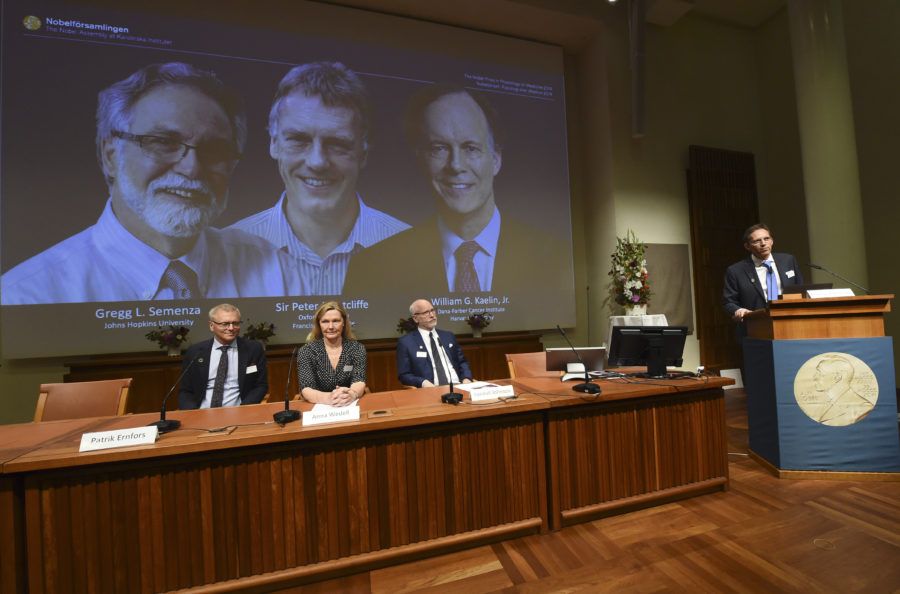 Premio Nobel de Medicina 2019.