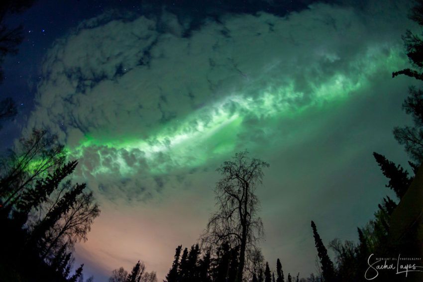 Alaska. 28 de septiembre del 2019. Crédito: Sacha Layos