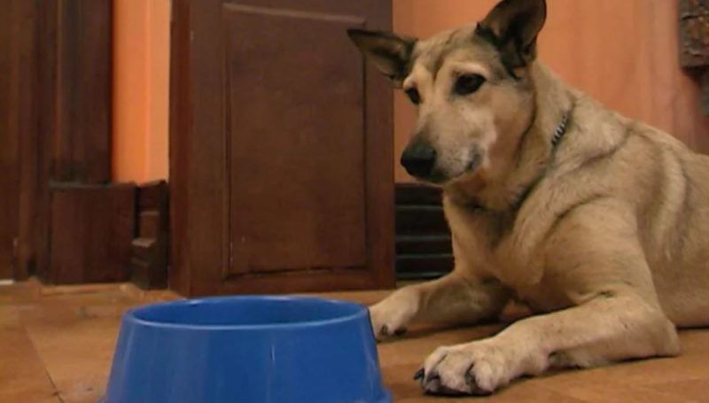 Fatiga, uno de los personajes más queridos de "Casados con hijos".