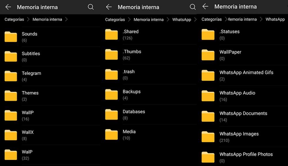 Así podés recuperar una foto eliminada por error de WhatsApp