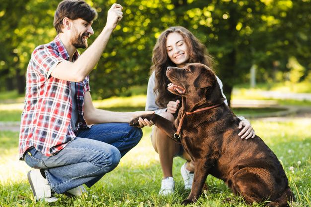 Pareja jugando con su perro en el parque