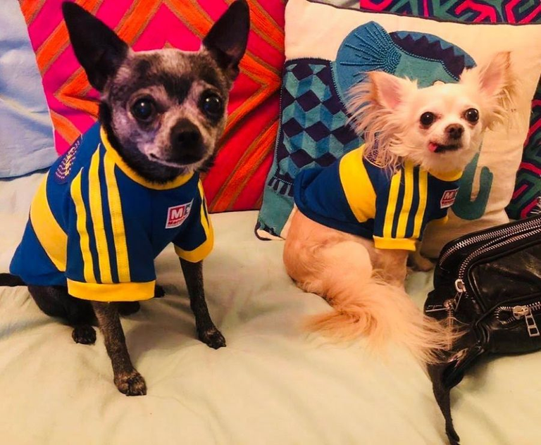 La dura traición de Micaela Tinelli a su papá