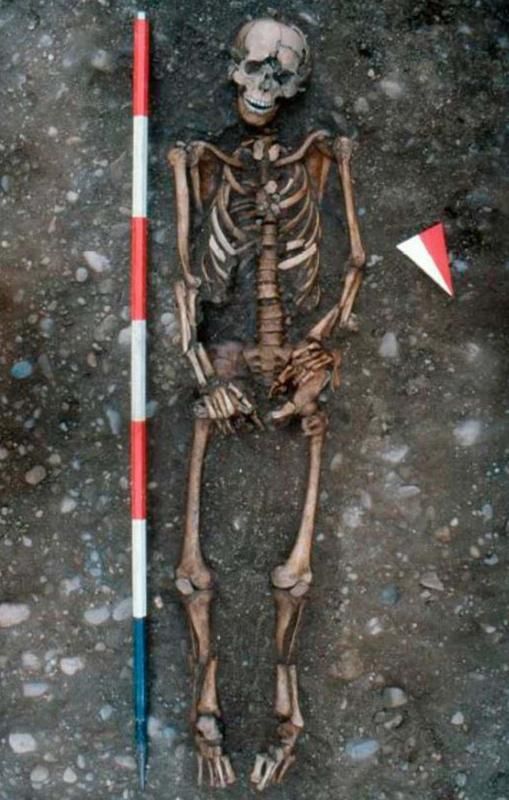 Un esqueleto revela los daños de la escalofriante práctica medieval de la "rueda de la tortura"