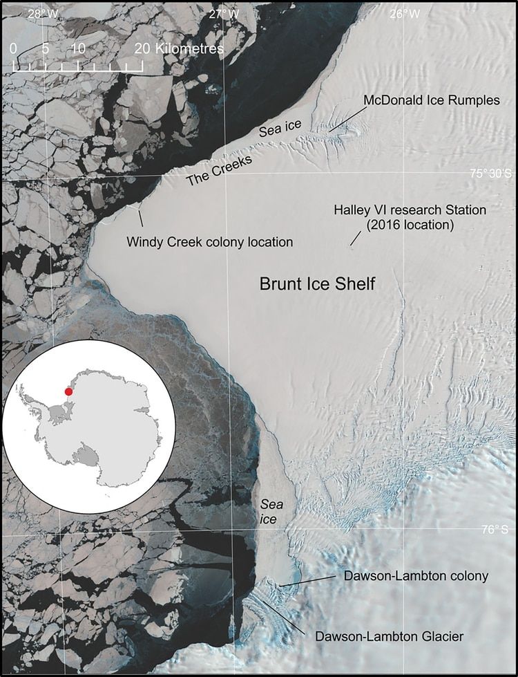 Vista general de la plataforma de hielo Brunt, que muestra la ubicaci&Atilde;&sup3;n de las colonias de ping&Atilde;&frac14;inos emperador de Halley Bay y Dawson-Lambton.