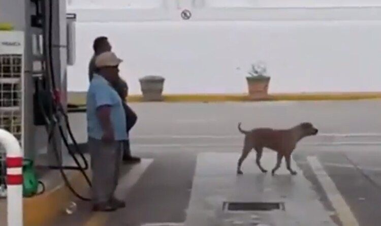(Foto: Video ADN40)