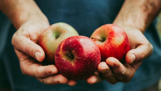 Manos unidas sosteniendo tres manzanas