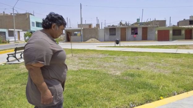 Willy caminando por un parque